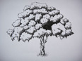 Baum